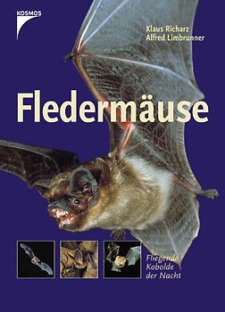 Fledermäuse