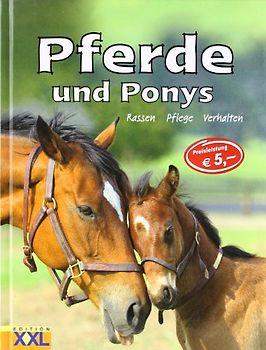Pferde und Ponys