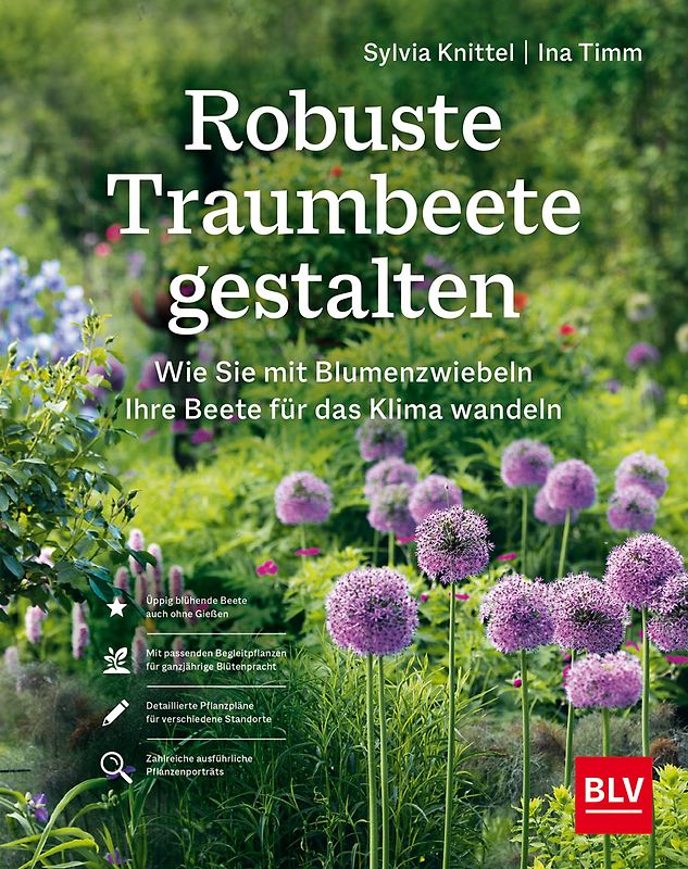 Robuste Traumbeete gestalten
