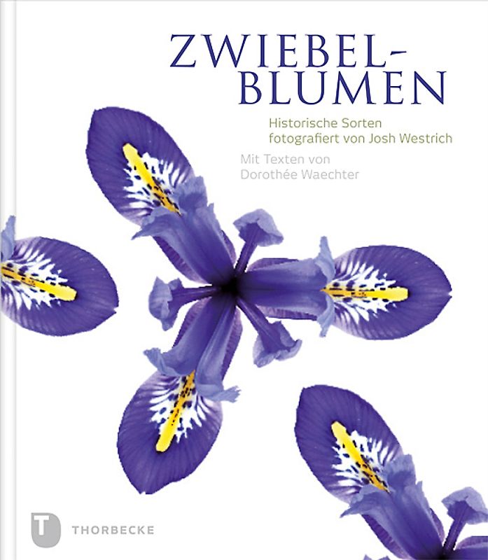 Zwiebelblumen
