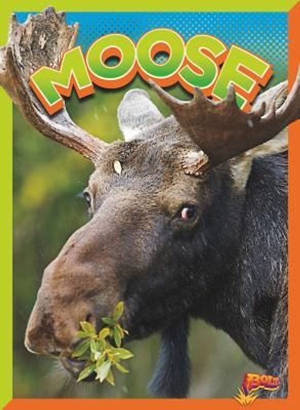 Moose