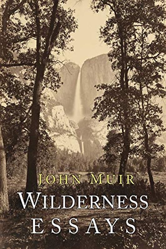 Wilderness Essays (Abingdon Pillars of Theology)