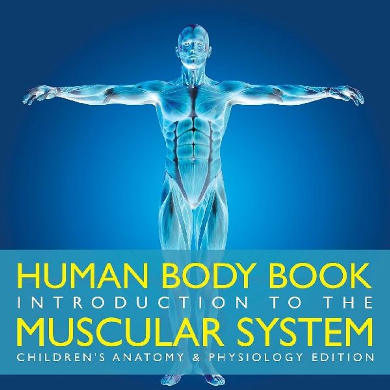 Human Body Book Introduction to the Muscular System Children's Anatomy & Physiology Edition