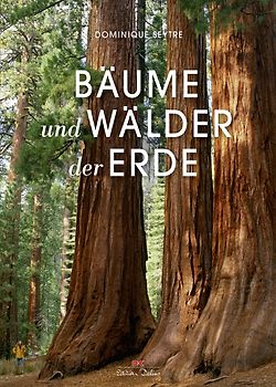 Bäume und Wälder der Erde