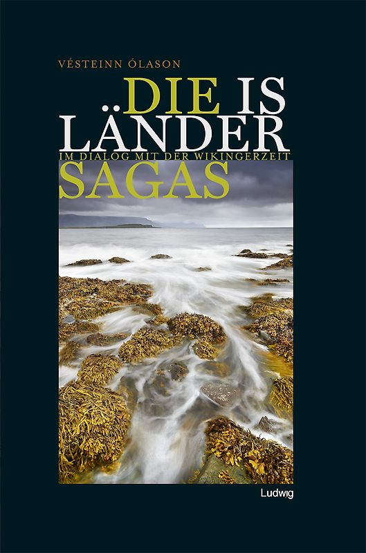 Die Isländersagas. Im Dialog mit der Wikingerzeit