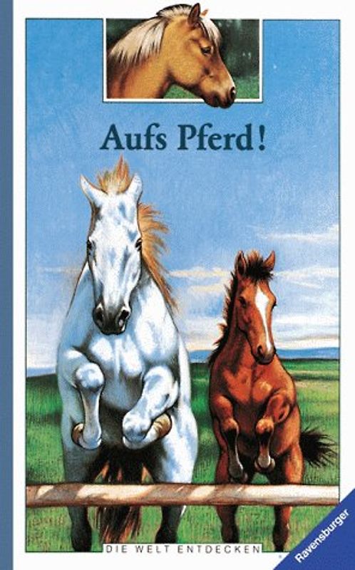Aufs Pferd!