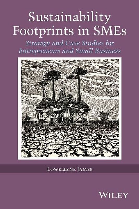 Sustainability Footprints in SMEs