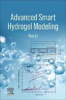 Advanced Smart Hydrogel Modeling