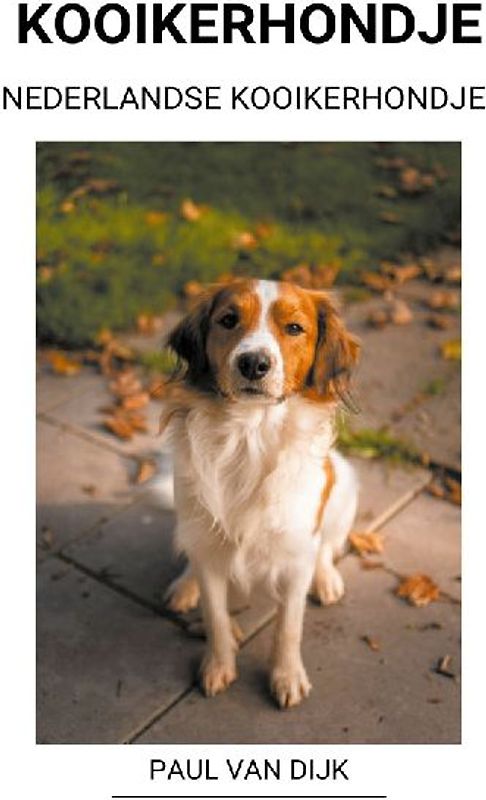 Nederlandse Kooikerhondje