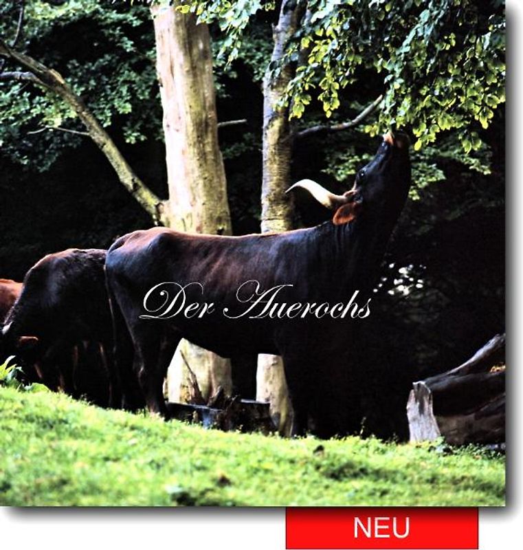 Der Auerochs