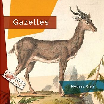 Gazelles