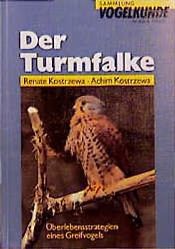 Der Turmfalke