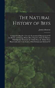 The Natural History of Bees