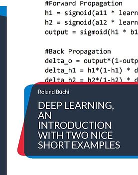 Deep Learning, an introduction with two nice short examples
