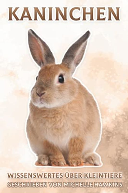 Kaninchen: Wissenswertes über Kleintiere #1