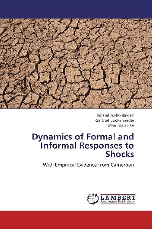 Dynamics of Formal and Informal Responses to Shocks