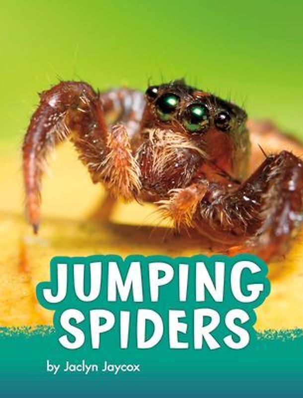 Jumping Spiders