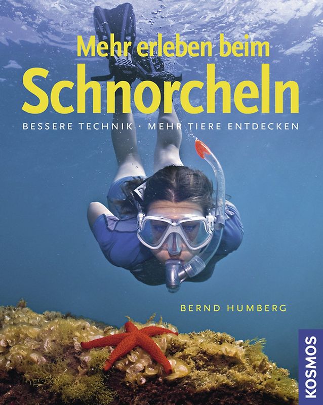 Mehr erleben beim Schnorcheln
