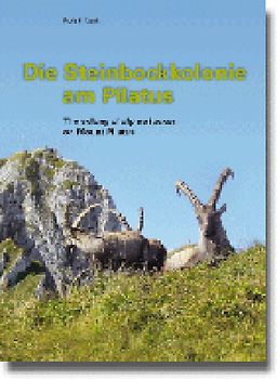 Die Steinbockkolonie am Pilatus /The colony of alpine ibexes on Mount Pilatus