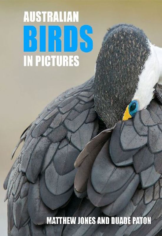 Australian Birds in Pictures