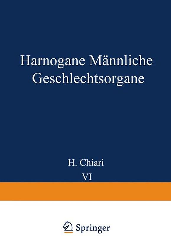 Harnorgane Männliche Geschlechtsorgane