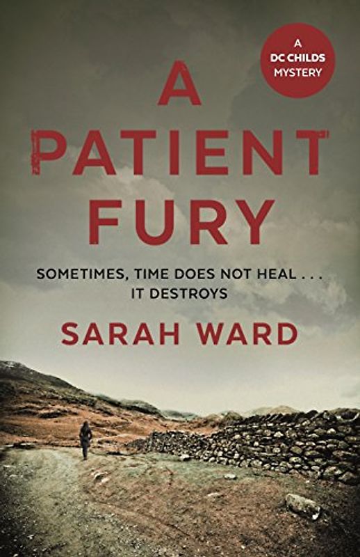 A Patient Fury: Sarah Ward (DC Childs mystery)