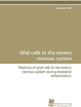Glial cells in the enteric nervous system