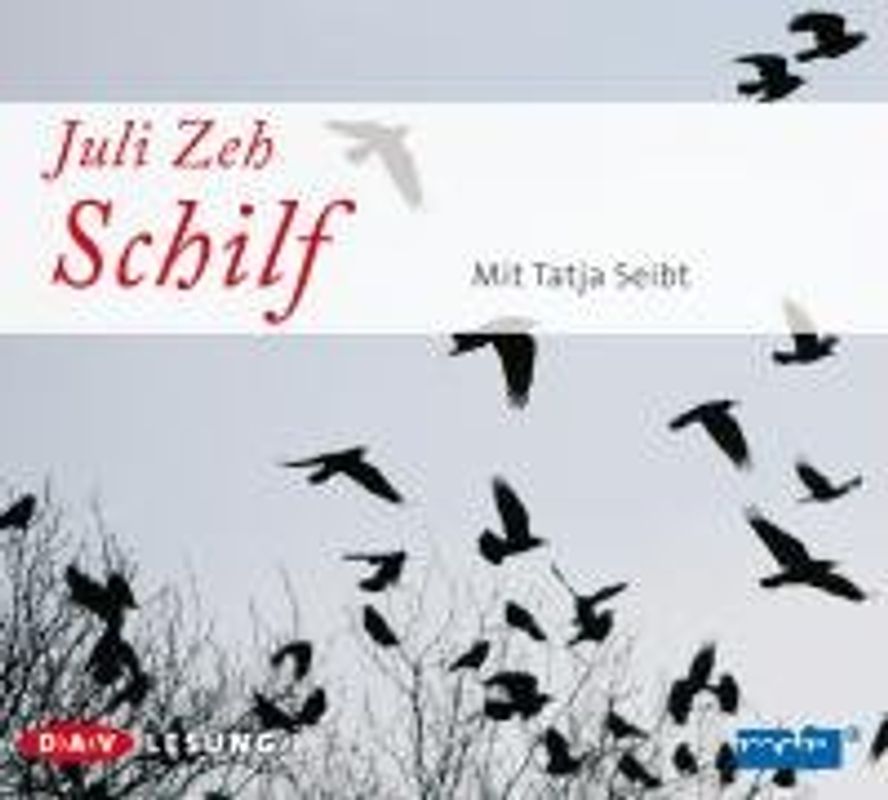 Schilf