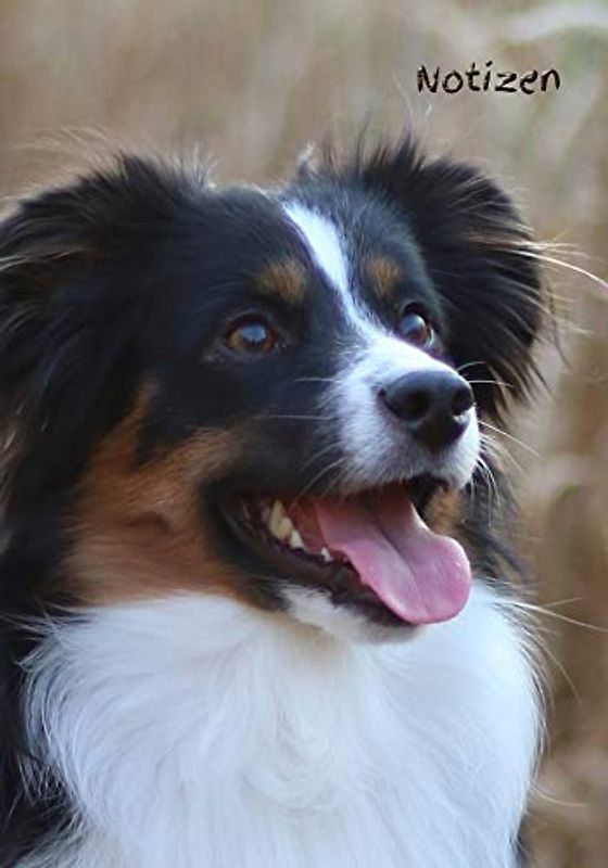 Notizen: kariert - Notiz - Australian Shepherd - Hund - Hunderasse - Tierarzt - Tagebuch - Mädchen - Frauen - Hundesport