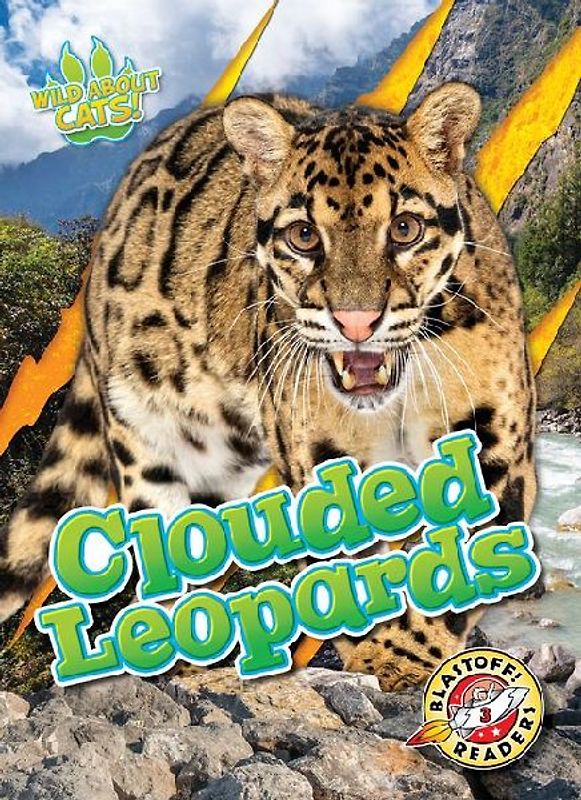 Clouded Leopards
