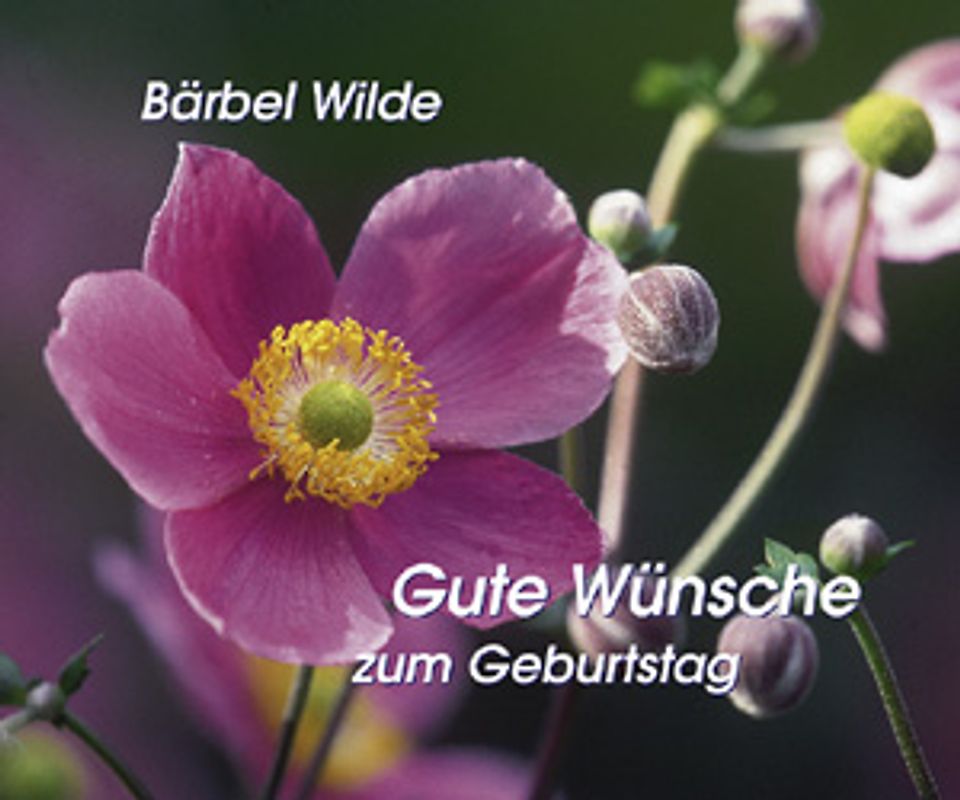 Gute Wünsche zum Geburtstag
