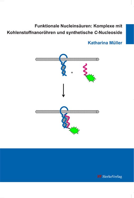 Funktionale Nucleinsäuren: Komplexe mit Kohlenstoffnanoröhren und synthetische C-Nucleoside