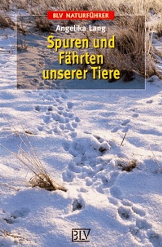 Spuren und Fährten unserer Tiere