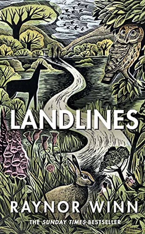 Landlines: The No 1 Sunday Times bestseller about a thousand-mile journey across Britain from the author of The Salt Path (Raynor Winn, 3)