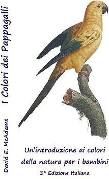 I Colori dei Pappagalli