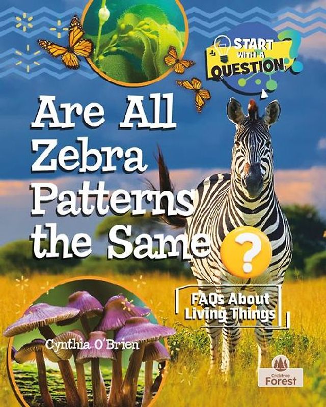 Are All Zebra Patterns the Same?