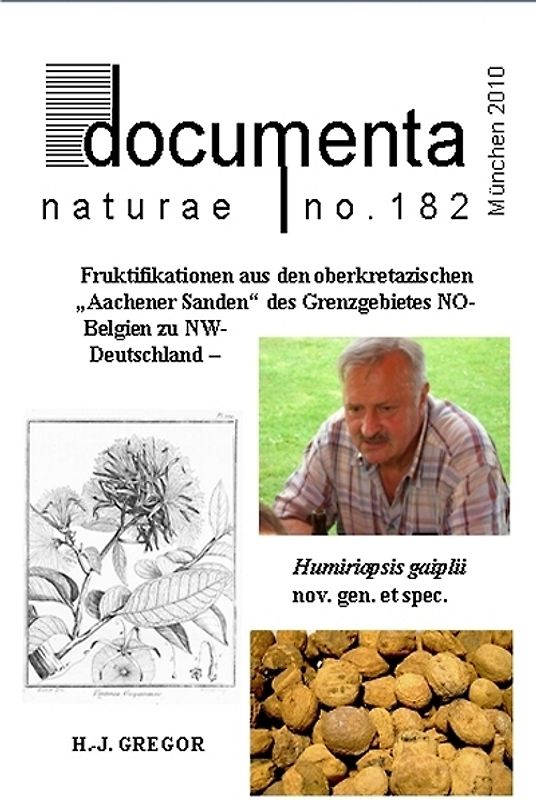 Fruktifikationen aus den oberkretazischen „Aachener Sanden“ von Kelmis und Hauset im Grenzgebiet Belgien zu Deutschland – Humiriopsis gaiplii nov. gen. et spec.