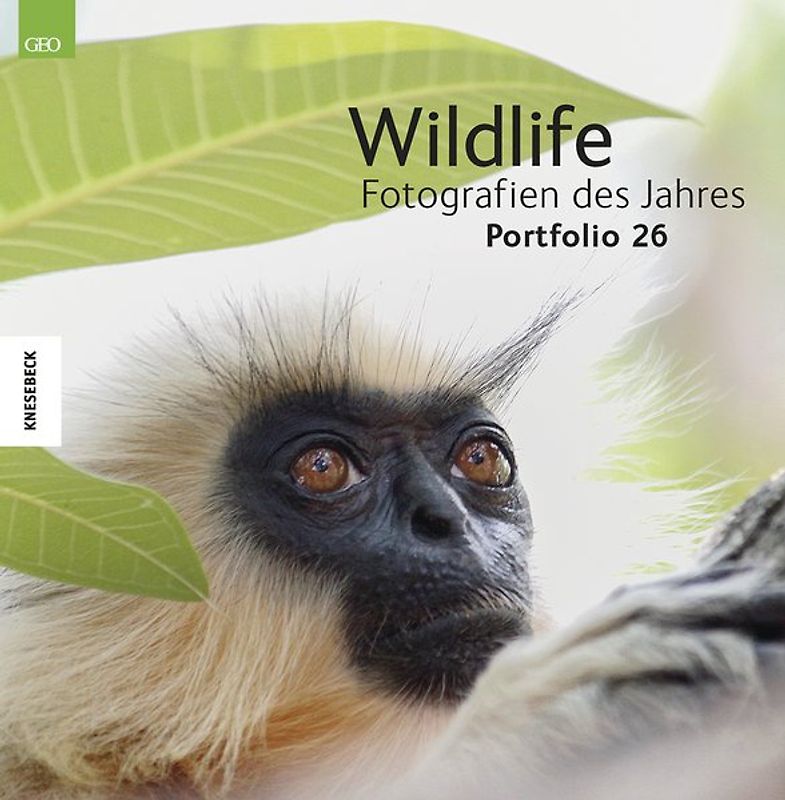 Wildlife Fotografien des Jahres – Portfolio 26