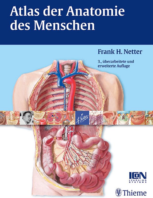 Atlas der Anatomie des Menschen