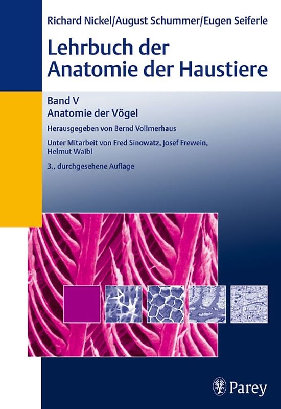 Lehrbuch der Anatomie der Haustiere Band V