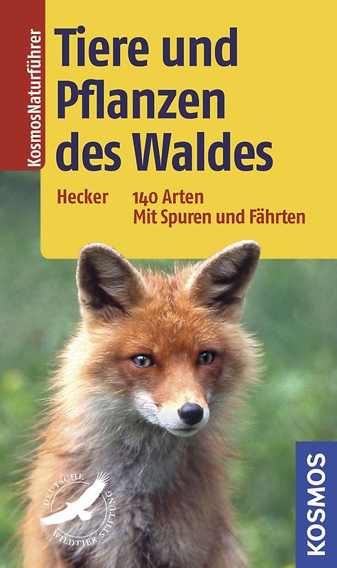 Tiere und Pflanzen des Waldes