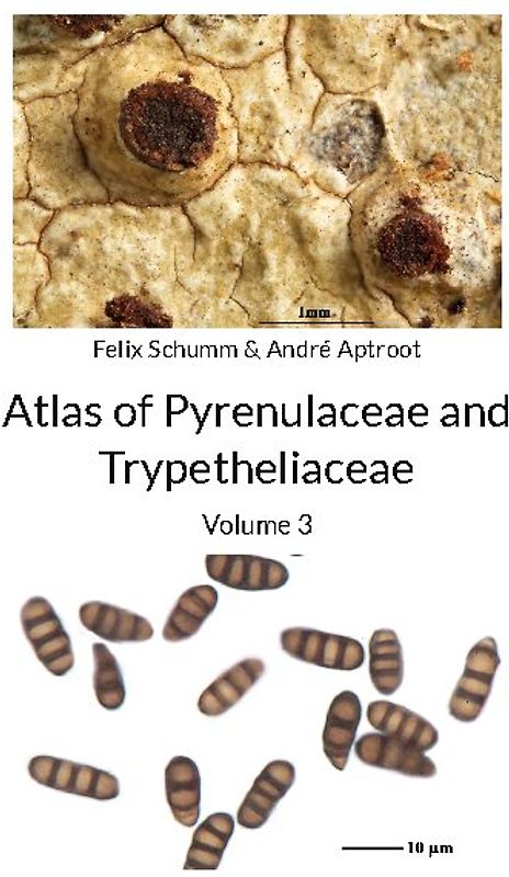 Atlas of Pyrenulaceae and Trypetheliaceae Vol 3