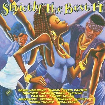 Various - Strictly the Best 14