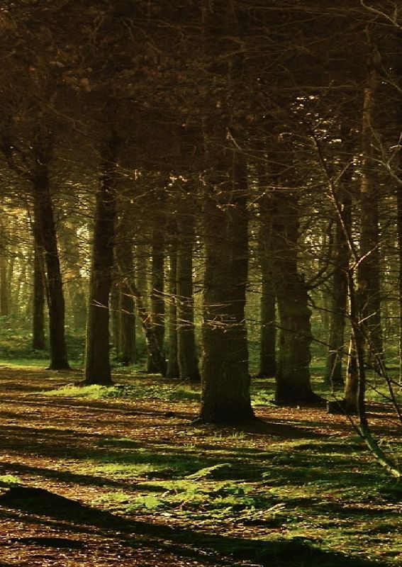 Geschichten oder Wahrheiten