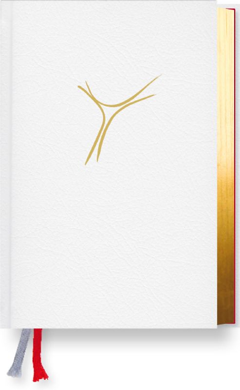 Gotteslob Bistum Passau. Cabra weiß, Goldschnitt.