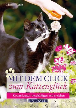 Mit dem Click zum Katzenglück