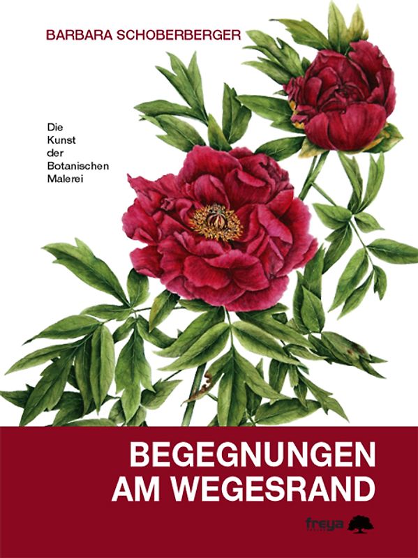 Begegnungen am Wegesrand