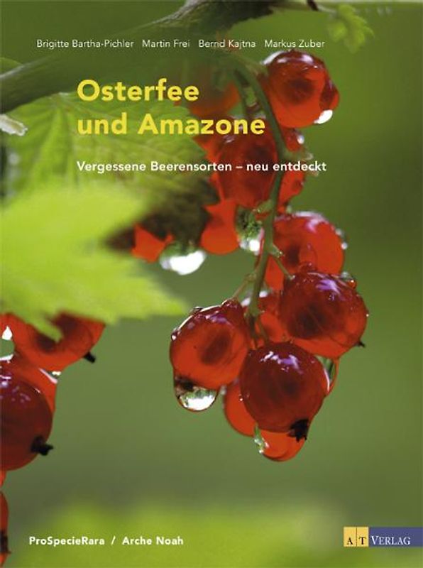 Osterfee und Amazone