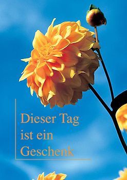 Dieser Tag ist ein Geschenk