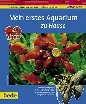 Mein erstes Aquarium zu Hause